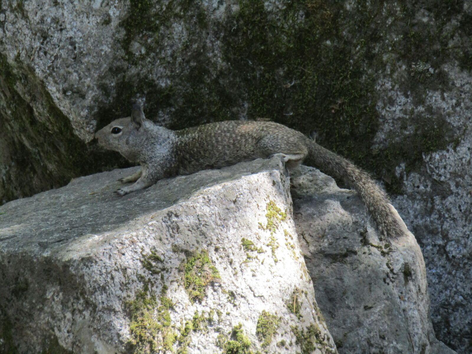 Sacramento: â??The City of Treesâ?? 