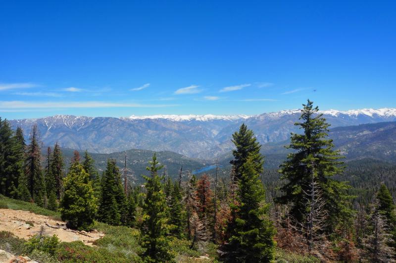 Rondreis Californi?« 