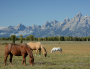 Grand Teton National Park
