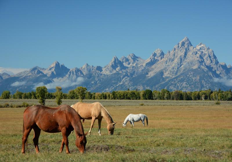 Grand Tetons