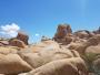 Joshua Tree National Park
