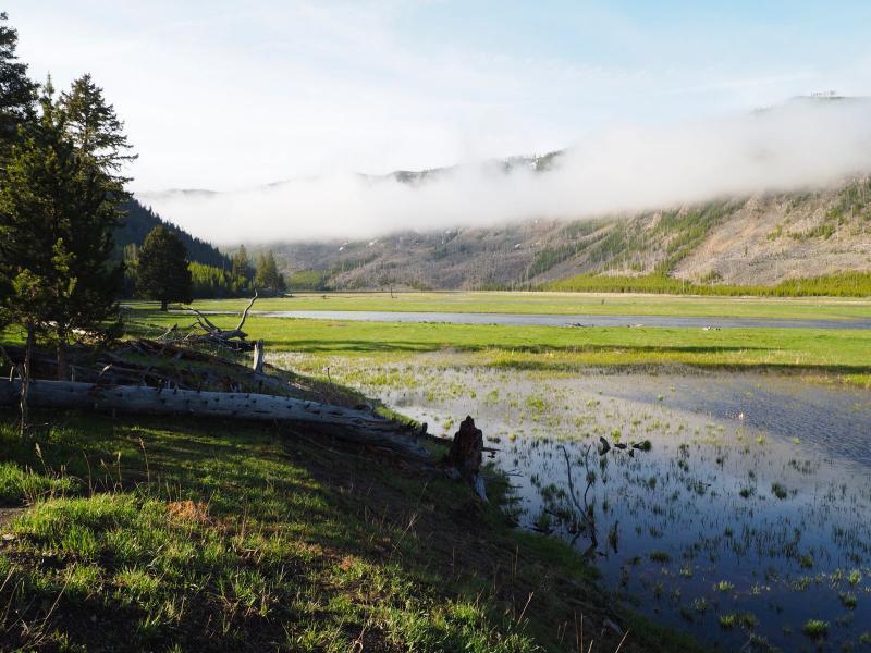 Natuur noordwest USA