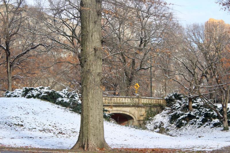 New York Central Park