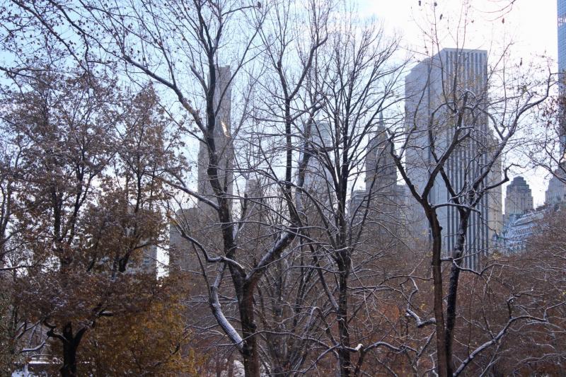 New York Central Park