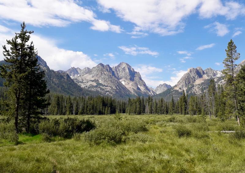 Sawtooth National Forest