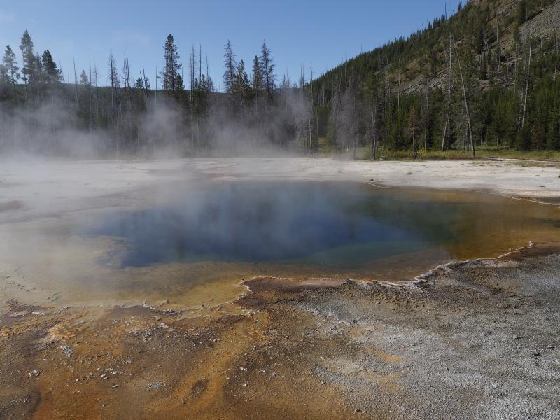 Yellowstone