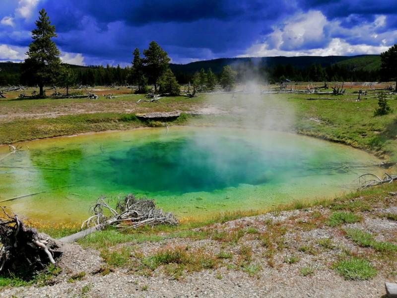 Yellowstone NP