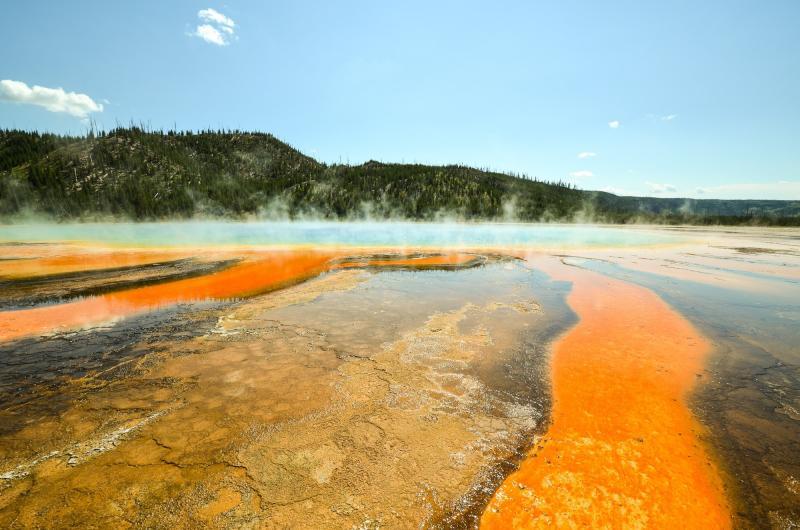 Yellowstone NP