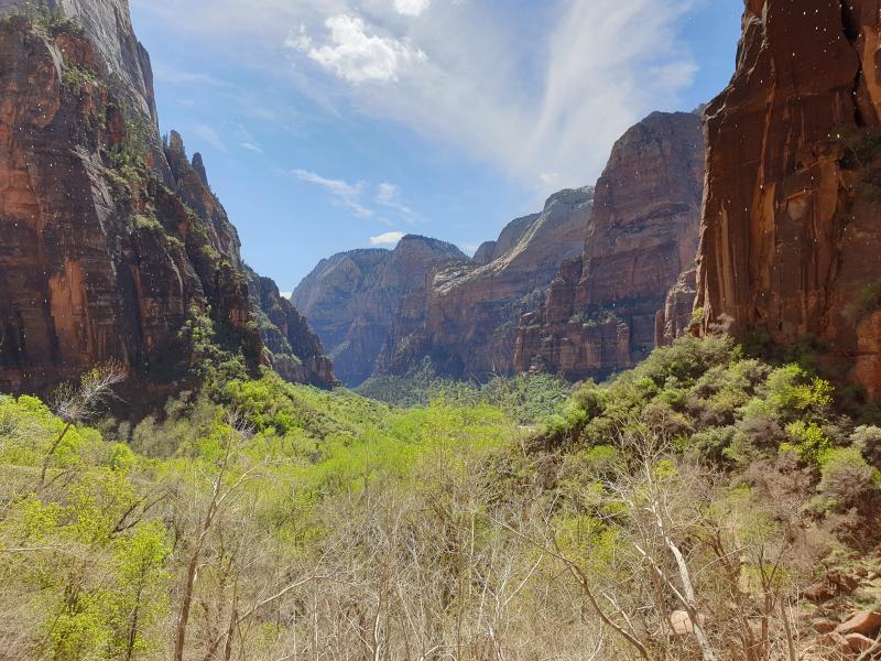 Zion National Park