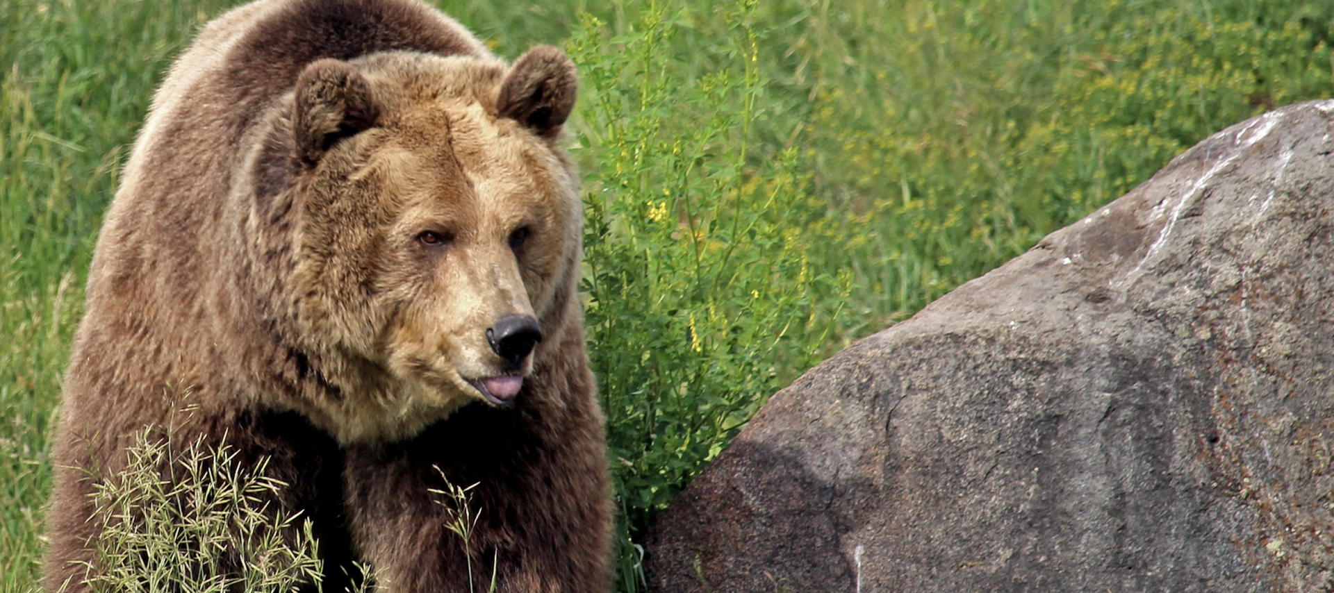 Groepsrondreis Noordwest VS Natuur