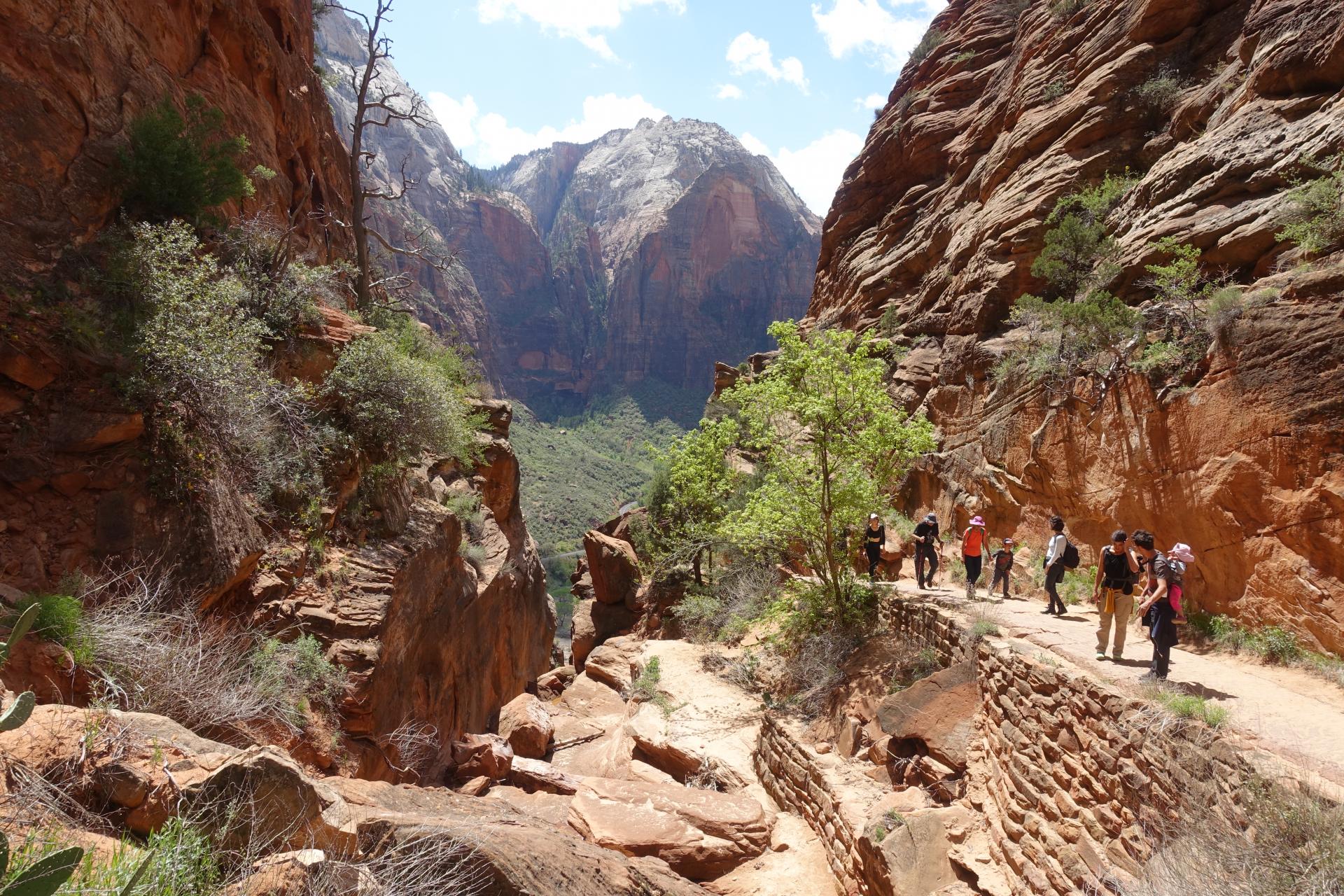 Privacybeleid en cookies