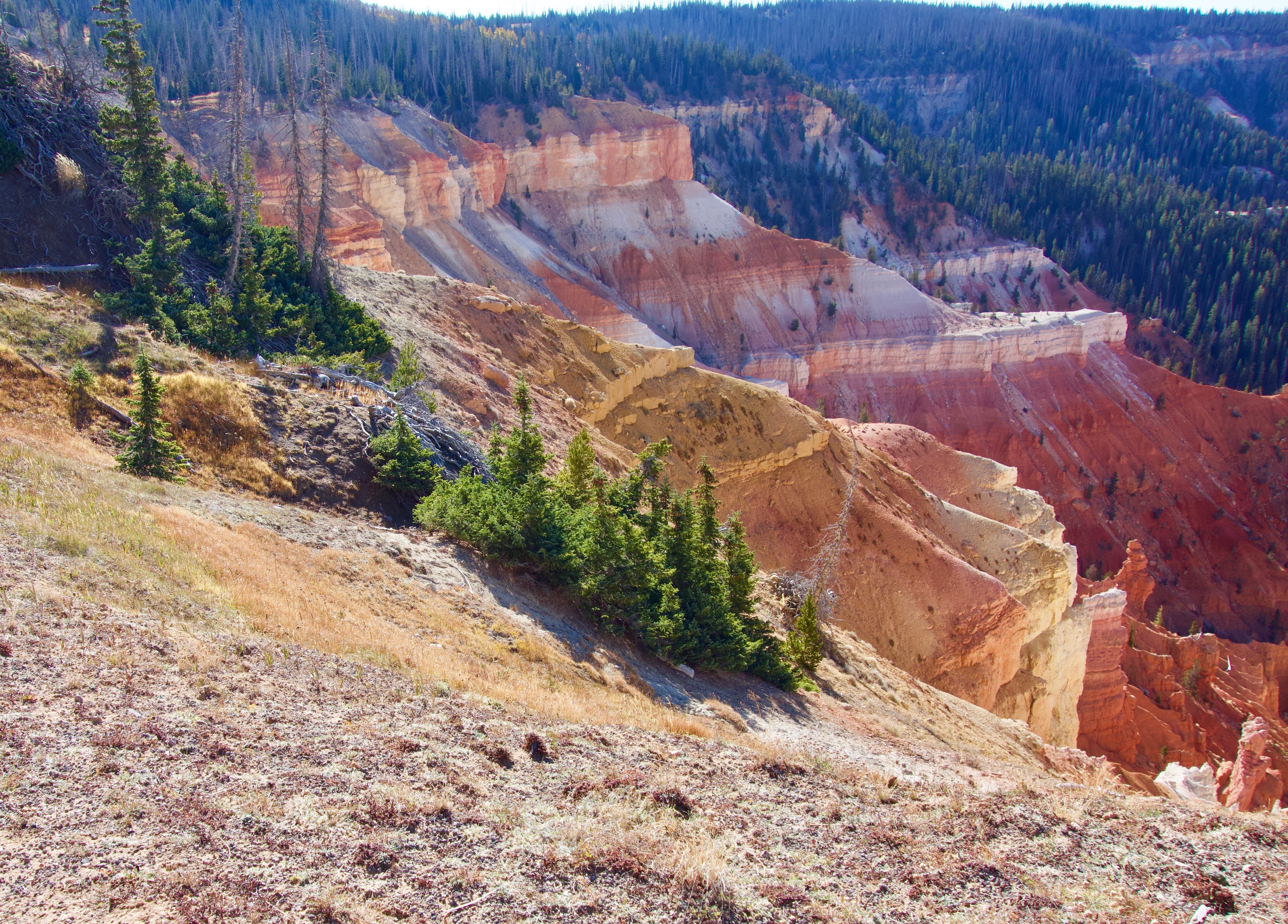 Cedar Breaks