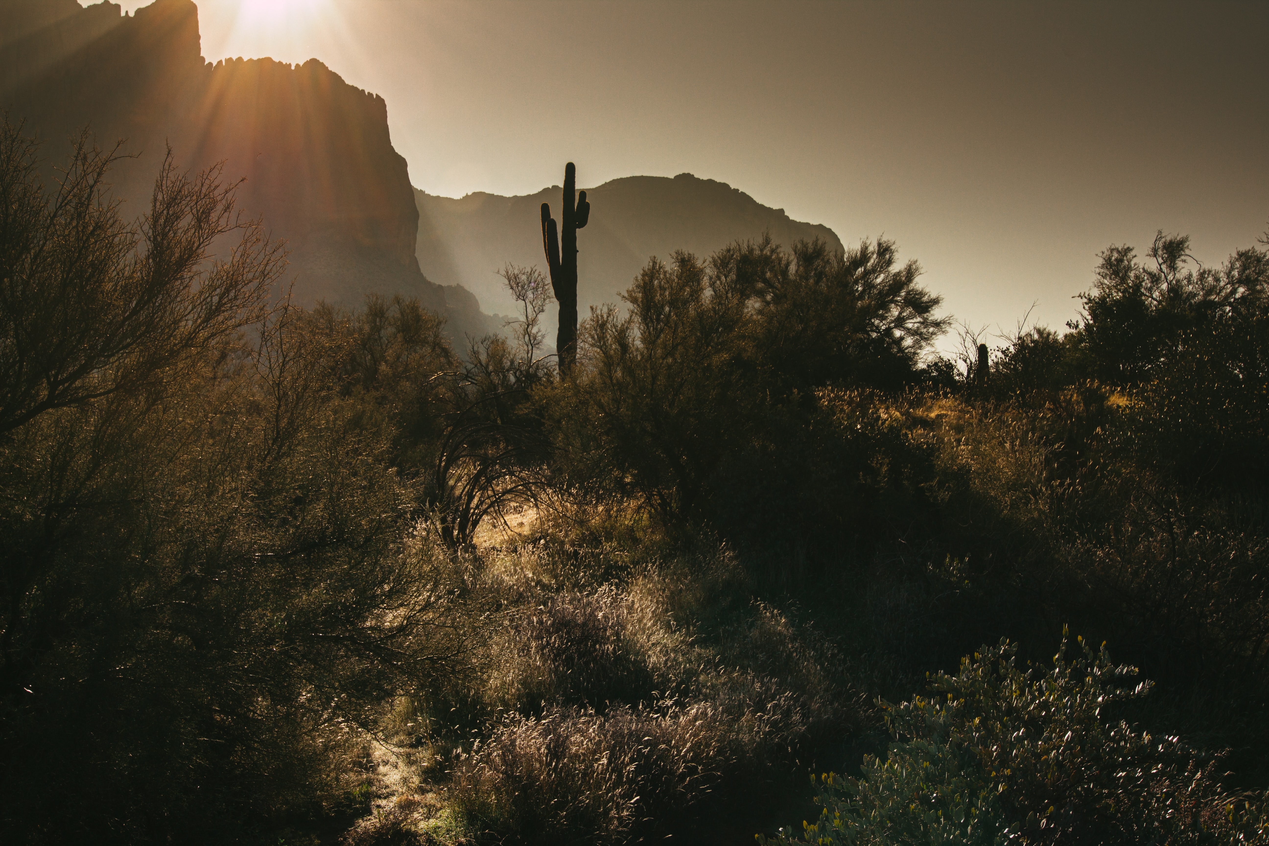 Lost Dutchman State Park