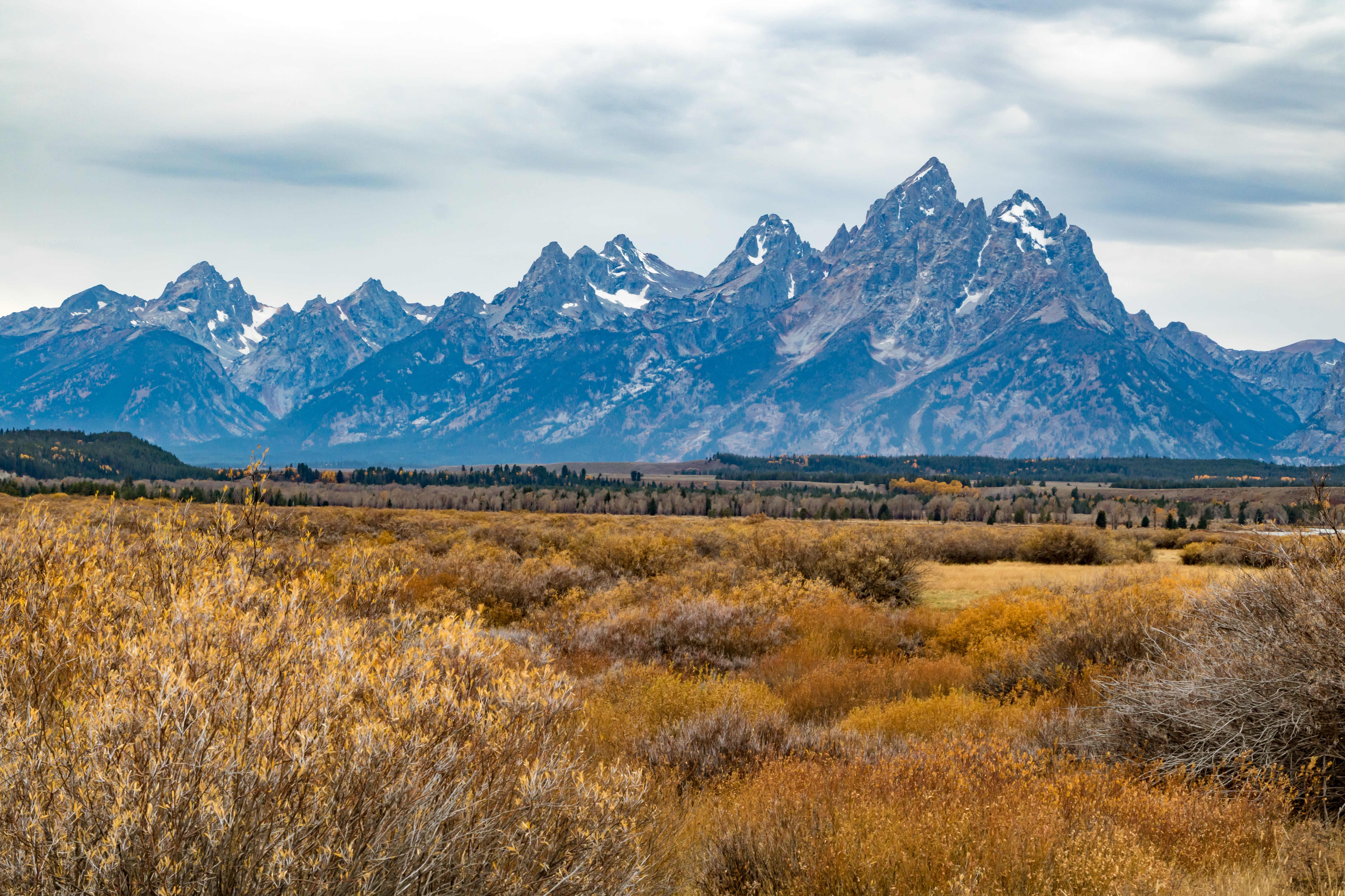 Grand Tetons